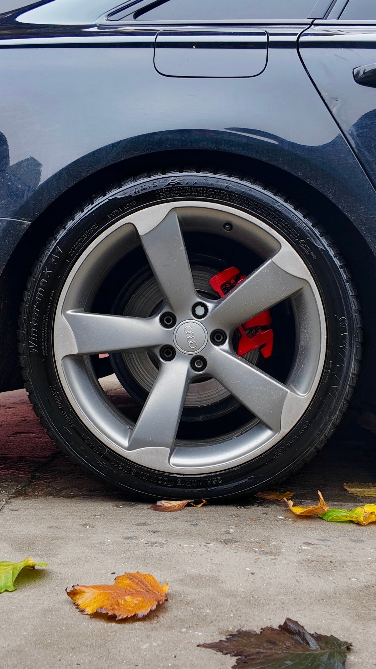 DJI_20251109152240_0097_D_SnapseedCopy