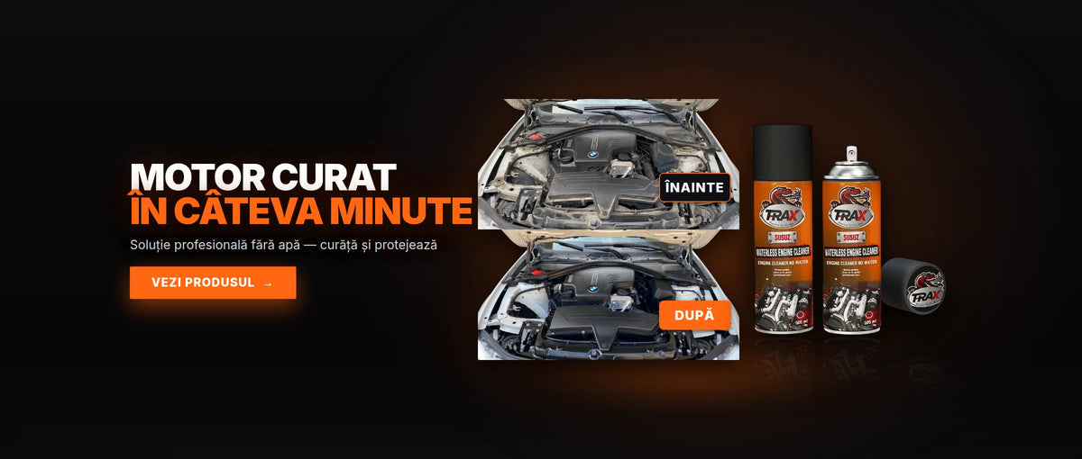 WATERLESS ENGINE CLEANER T-RaX - motor BMW înainte și după curățare fără apă