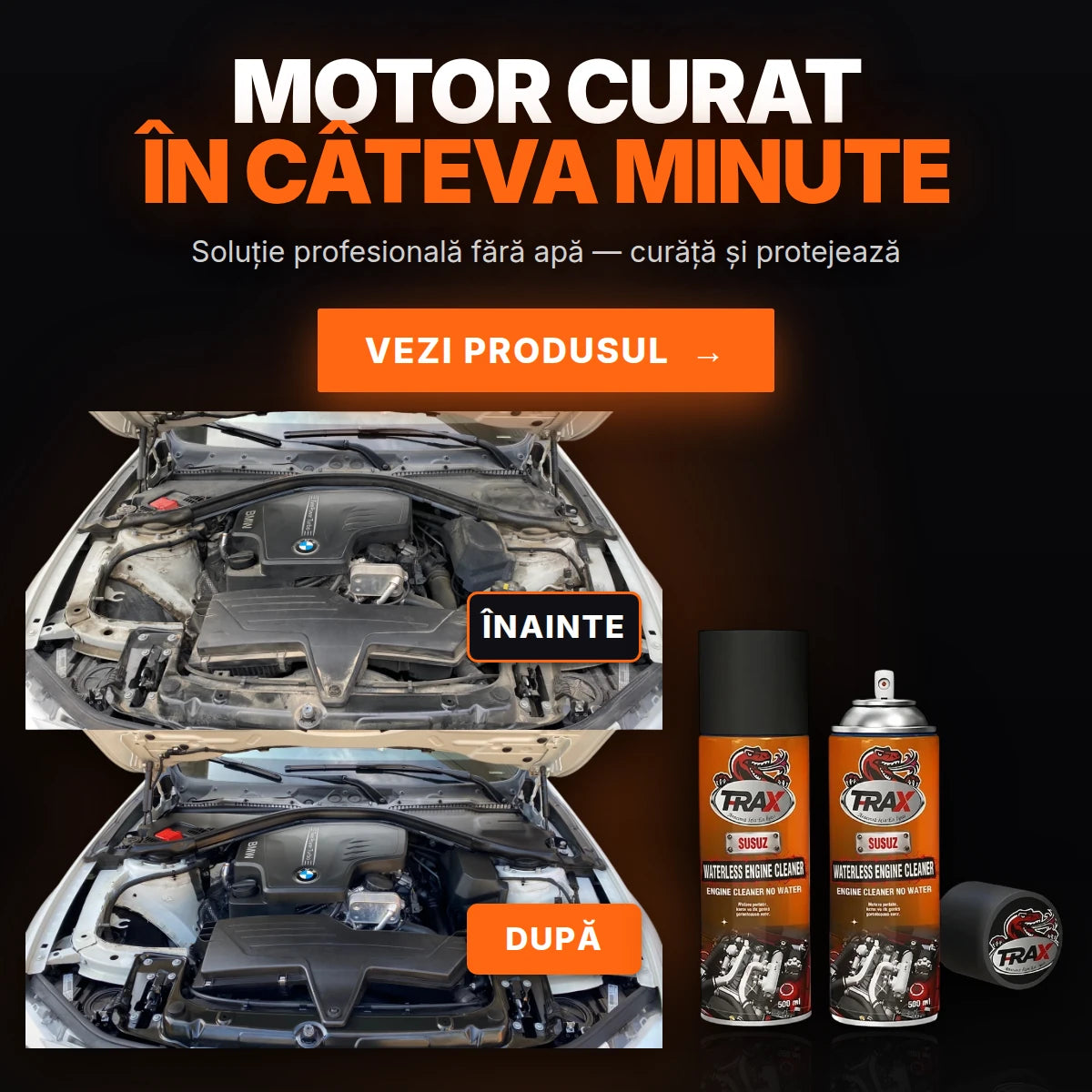WATERLESS ENGINE CLEANER T-RaX - motor BMW înainte și după curățare fără apă